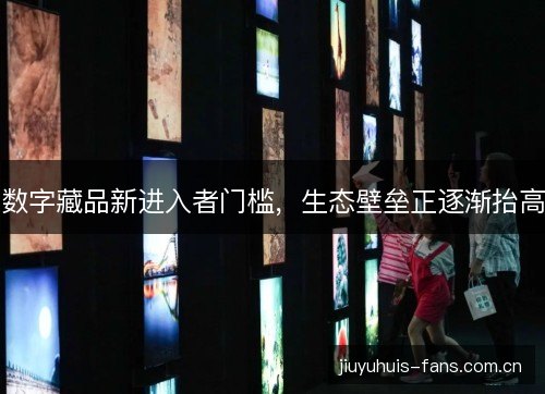 数字藏品新进入者门槛,生态壁垒正逐渐抬高 数字藏品新进入者门槛,生态壁垒正逐渐抬高